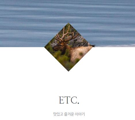 태상의 미니샵 바로가기로 알아보는 집콕라이프 문화의 흐름