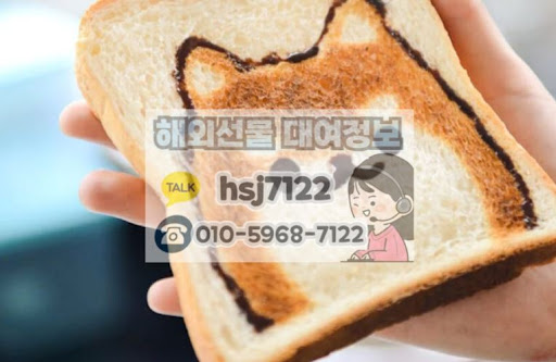 해선투데이 데이터 기반 해외선물미니계좌 시장 동향 보고서