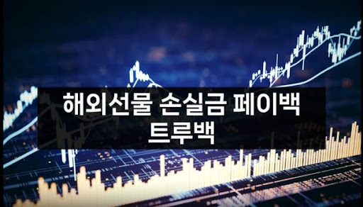 해외선물미니업체 트루백, 전문가들이 인정하는 투자 파트너